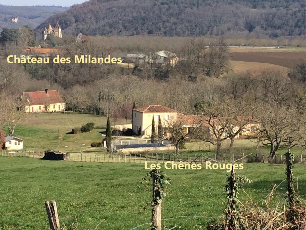 Bed and Breakfast Les Chenes Rouges Veyrines-de-Domme Zewnętrze zdjęcie